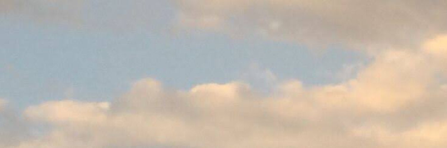 em's banner