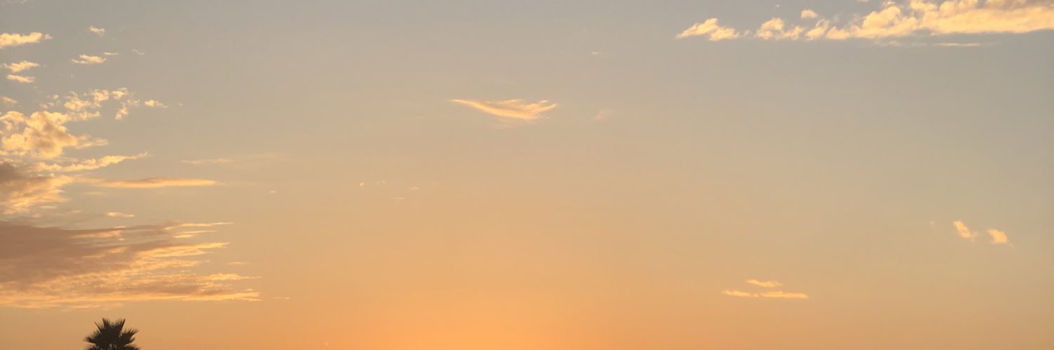 Ayesha javed's banner
