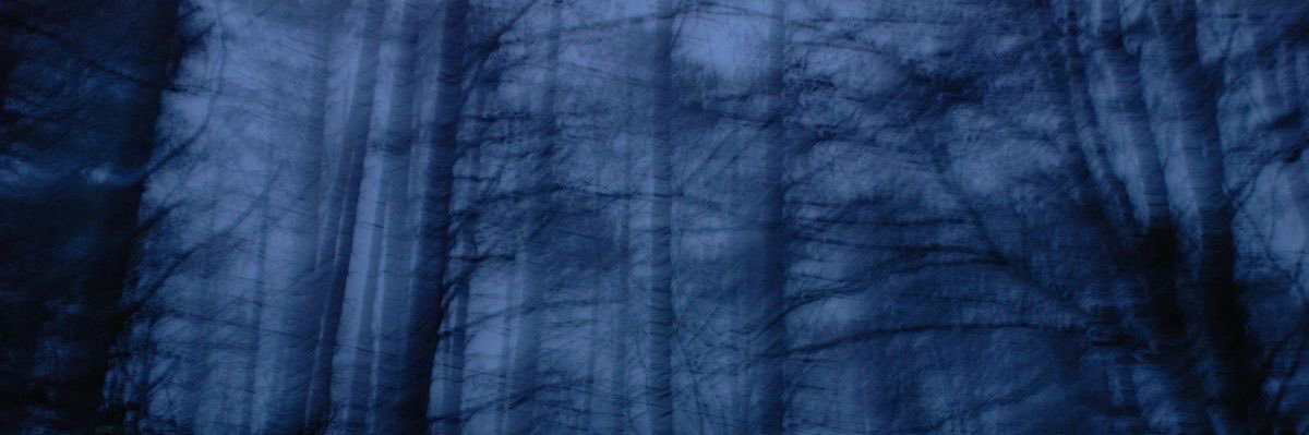 Dkay's banner