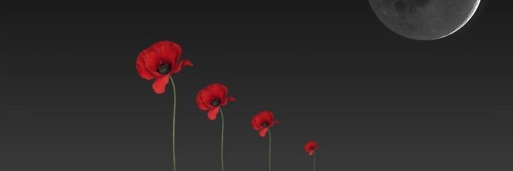 ღ 𝐊𝐫𝐚𝐥𝐢𝐜̧𝐞 ツ's banner