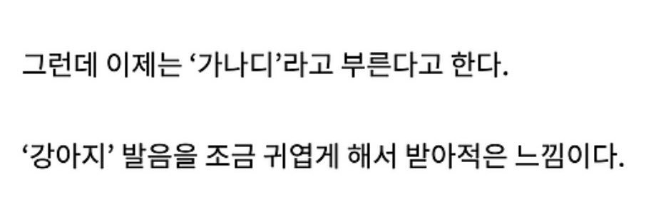 로라‎و ̑̑'s banner