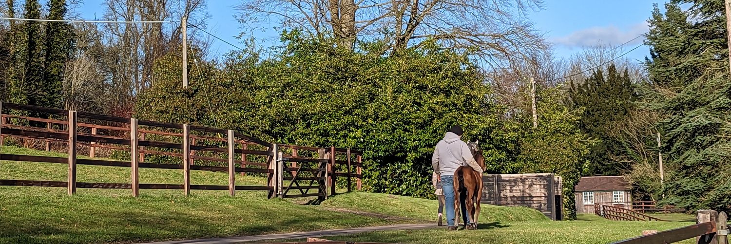Folland-Bowen Bloodstock's banner