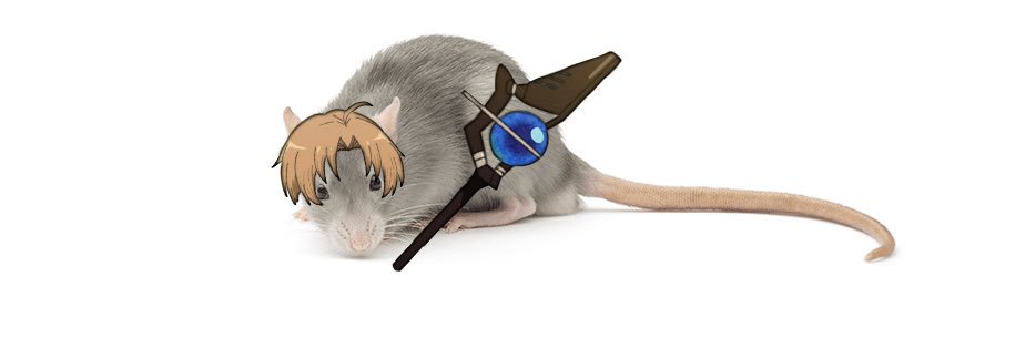 🐀's banner