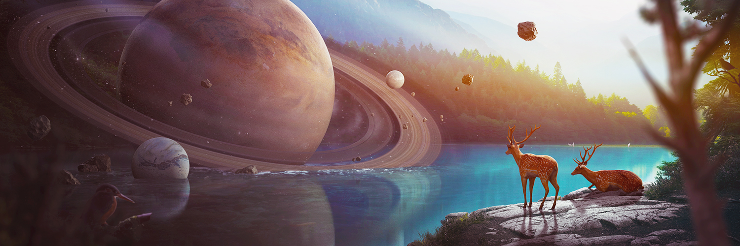 Anxo Vizcaíno's banner