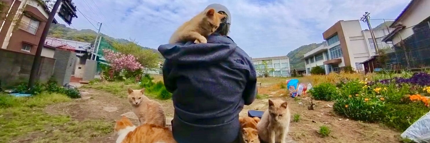 アスペ猫散歩🐈's banner