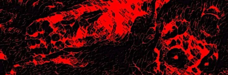 CANNIBALISMLOL2006's banner