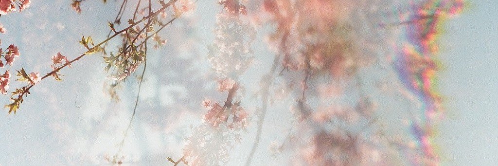 𝐜𝐡𝐚𝐥𝐤 ✧'s banner