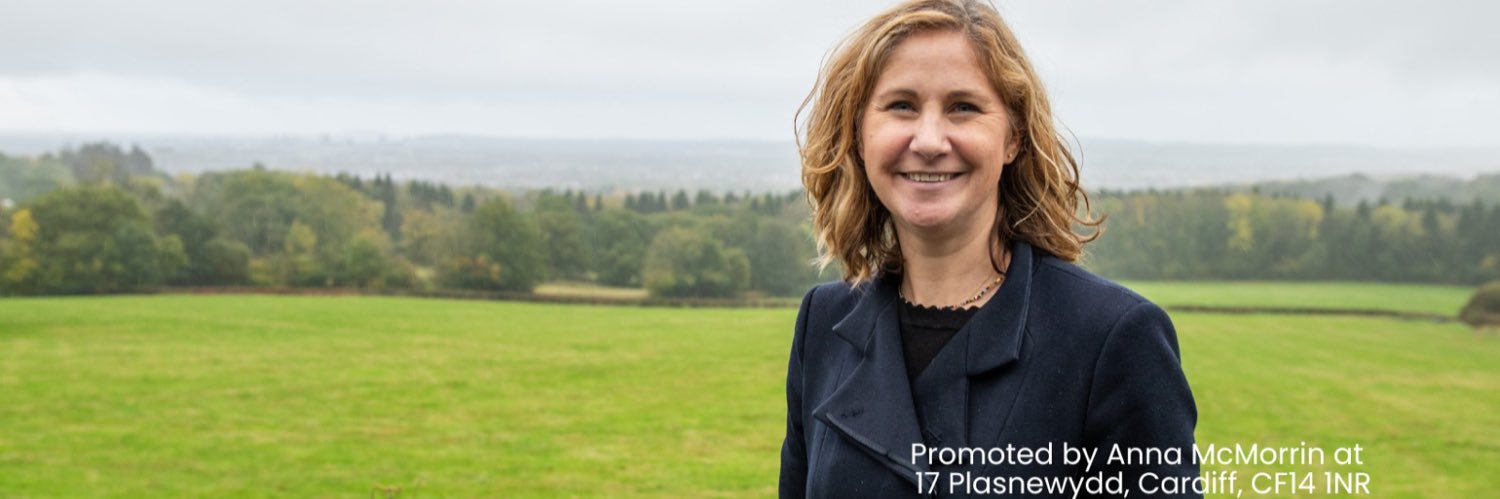 Anna McMorrin MP's banner