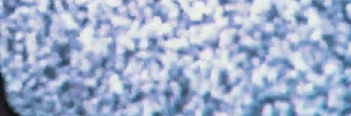 manic johnson's banner