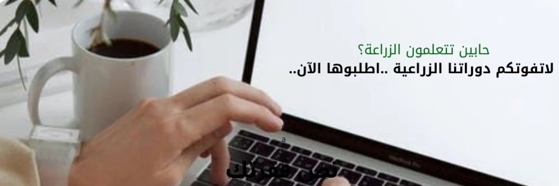 بدرية المغيدي's banner