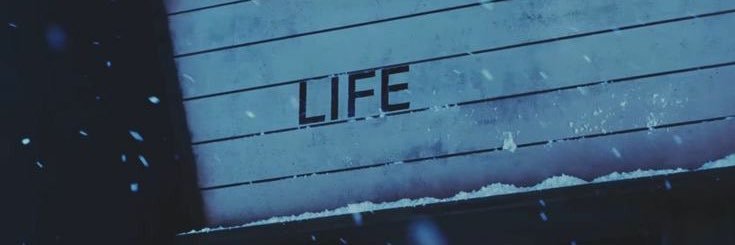 ♡𝑙𝑚.'s banner