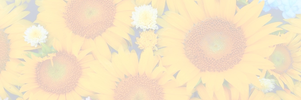 める's banner