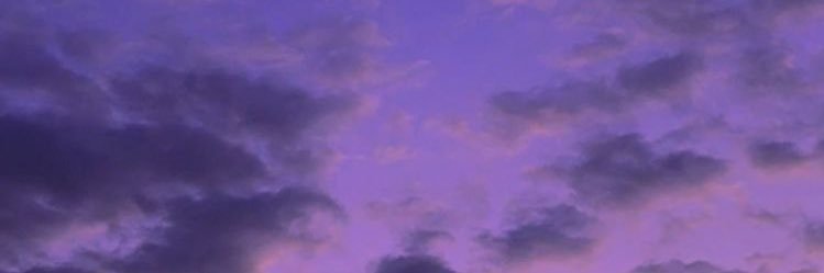 dam's banner