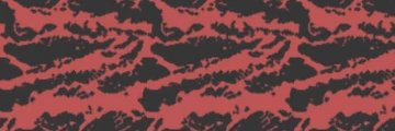 MW2 OG's banner