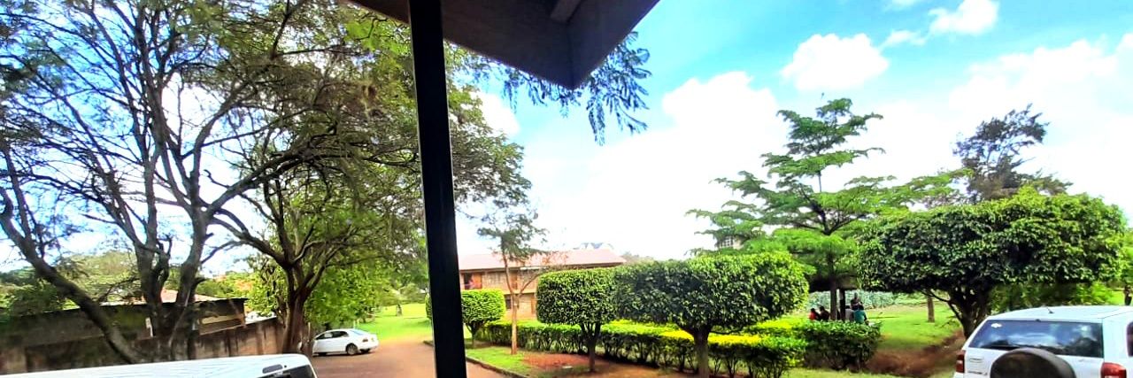 Wanjiru ✨'s banner