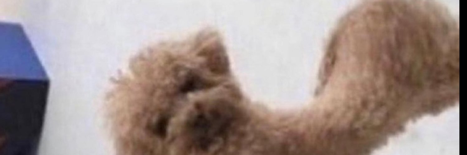 Fightdumpdaily's banner