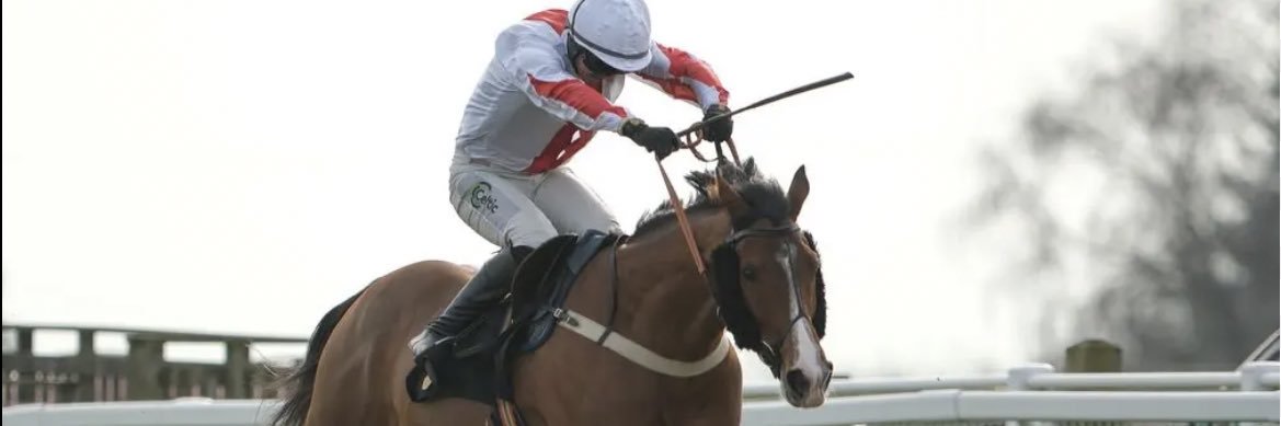 Joe🐎's banner
