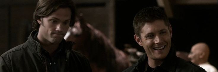 samsvibrator's banner