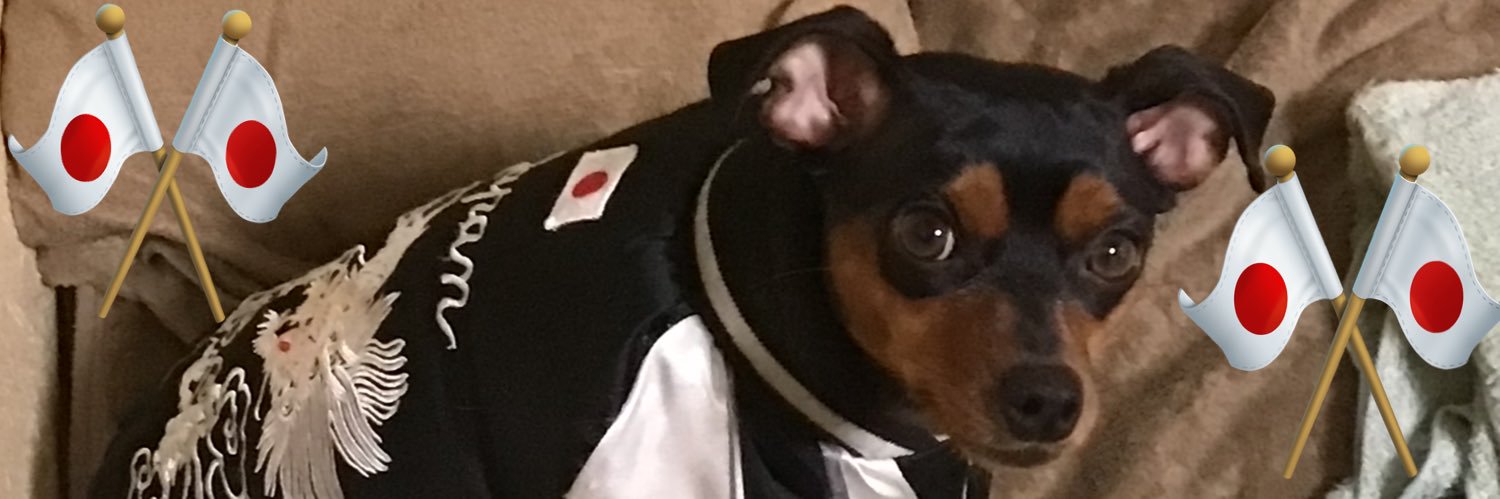 🇯🇵未来【愛犬の名前です】🇯🇵's banner