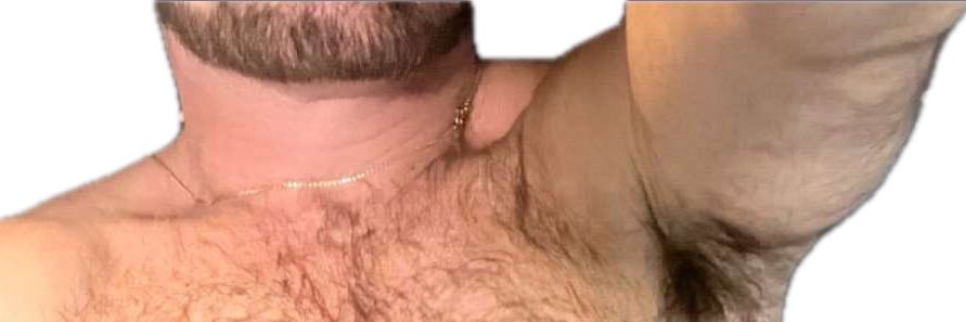 HAIRY, HOT n HUNG's banner
