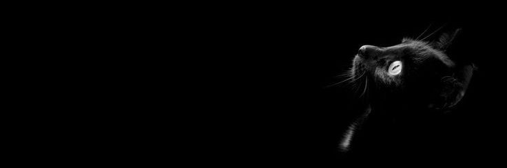 Den✨'s banner