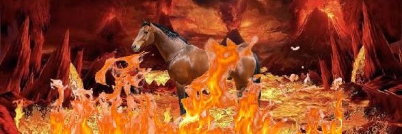 Horse Hater's banner