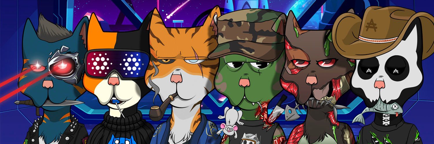 Boss Cat Rocket Club's banner
