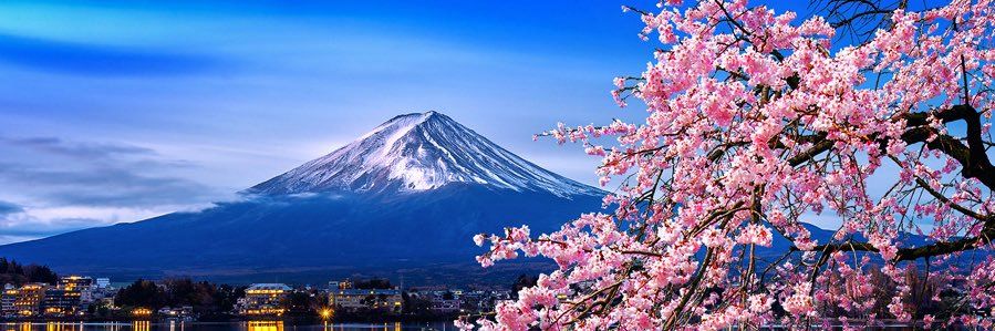 🌸さくら🇯🇵's banner