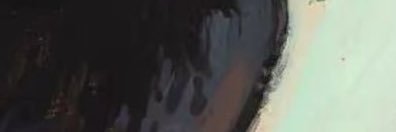 Tuta's banner
