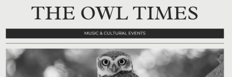The OWL Times's banner