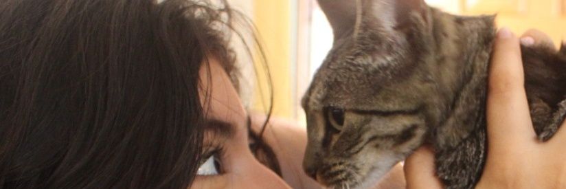 Katy✿'s banner