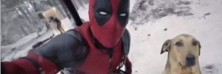 Talvez você ache isso engraçado's banner