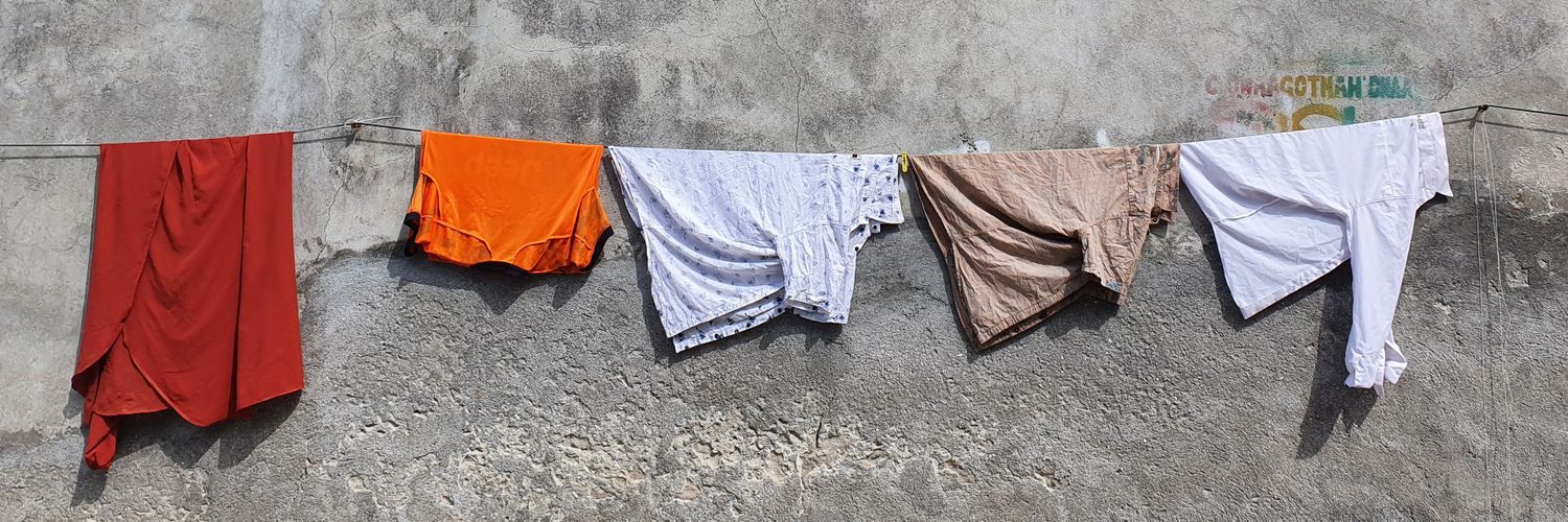 އަޅި އަލީ's banner