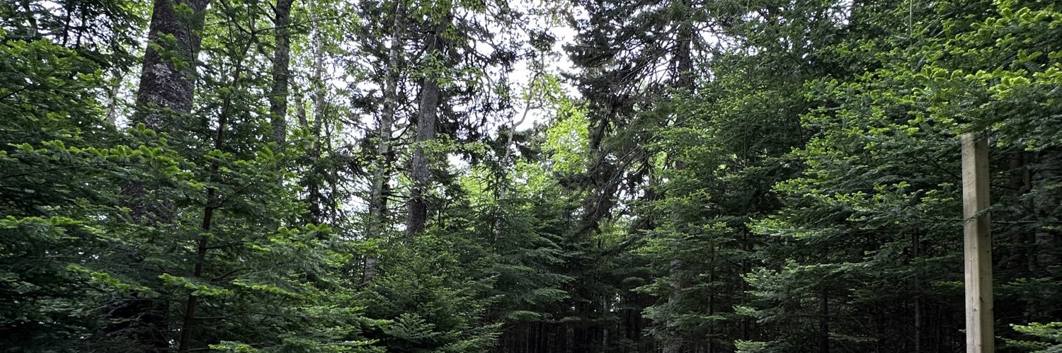 wildncanadian's banner