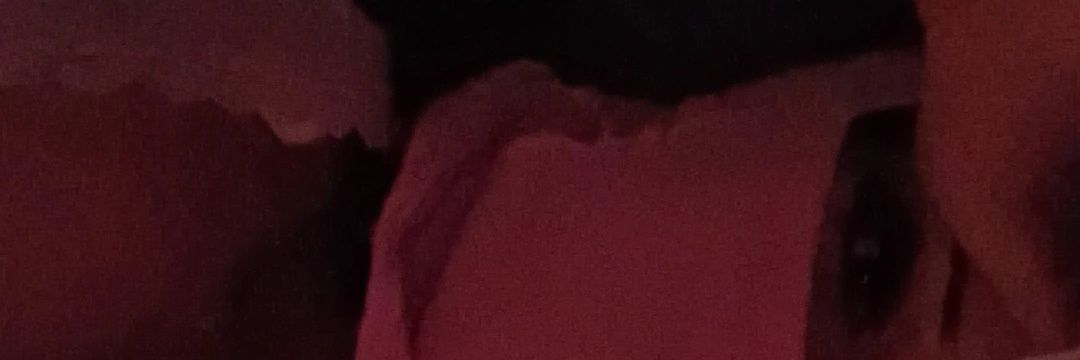 yanibandz's banner