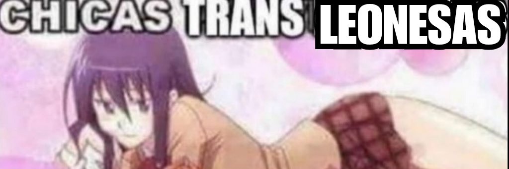 Megumi, Internet Angel 🏳️‍⚧️'s banner
