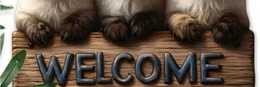 Aniya Salles's banner