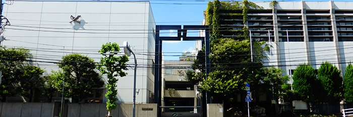 🇯🇵🎌🎌あいちゃん（Japan）🎌🎌🇯🇵's banner