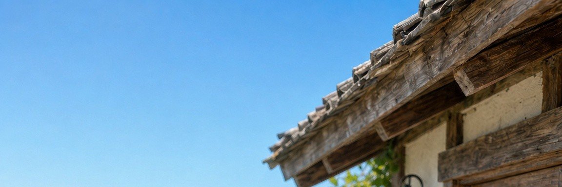 つのちゃん's banner