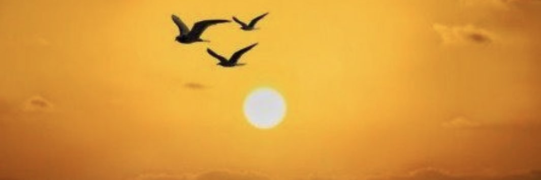 روح 🤍's banner