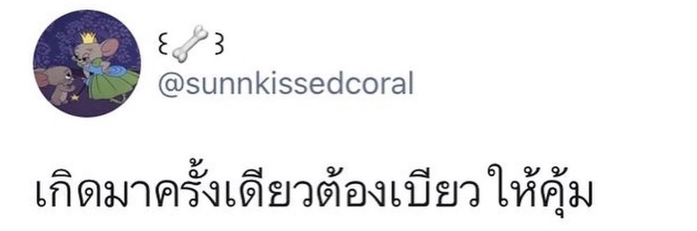 🧸🦊(ผมชื่อชิววๆ)| FAN ACCOUNT's banner