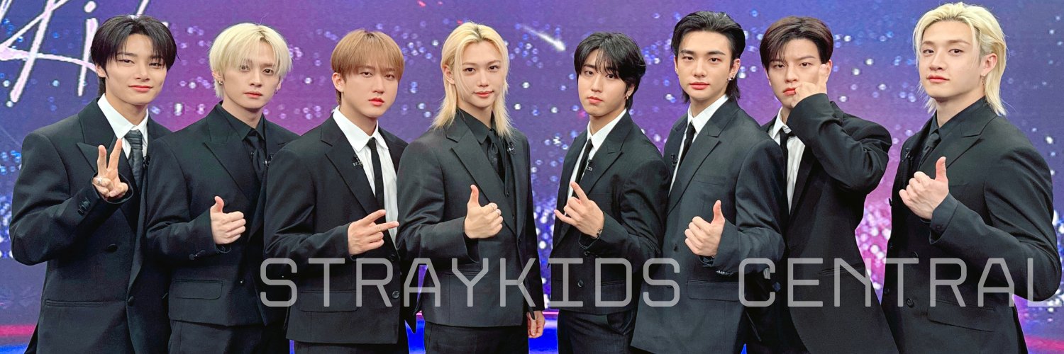 Stray Kids 스트레이키즈 Central's banner