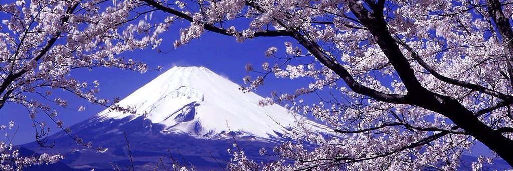 ボギーてどこん（浦添新基地建設見直し協議会）'s banner