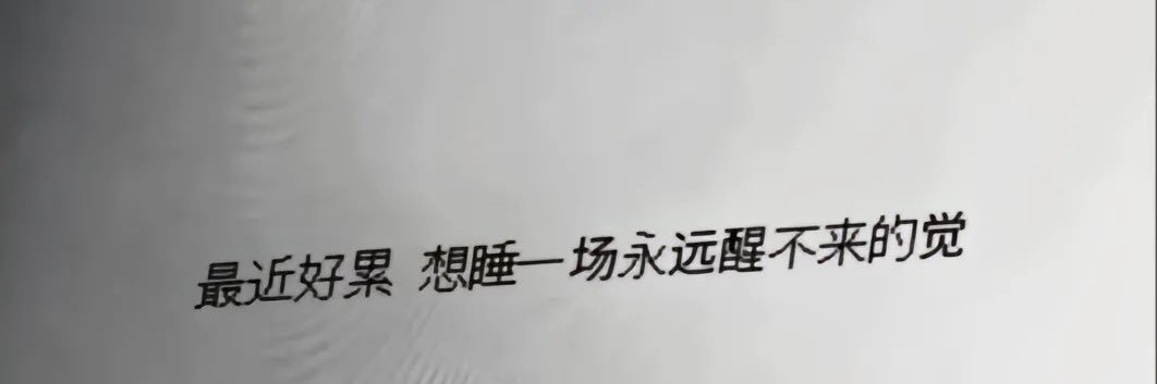 伊丽煞白（不关注不点赞别发私信）'s banner