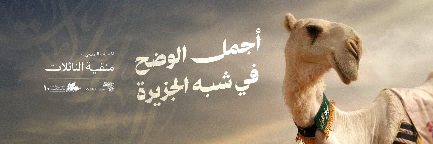 منقية النائلات's banner