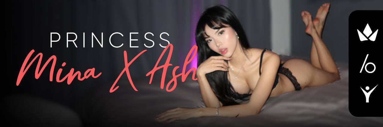 Princess Mina x Ash's banner