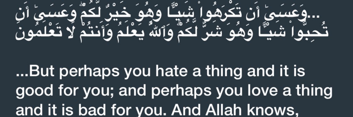 Hiba's banner
