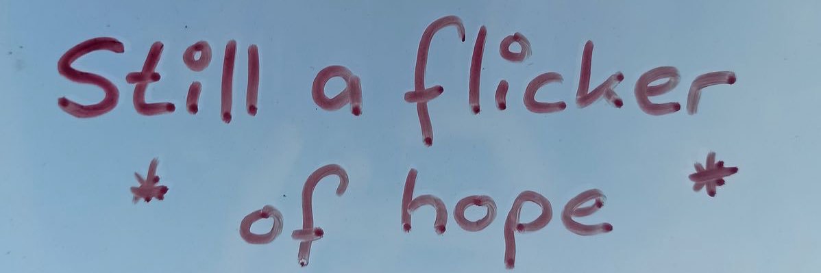adrianna ꕤ's banner