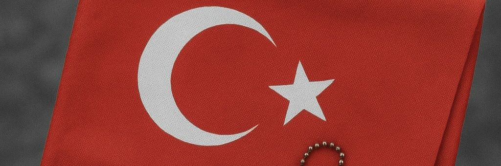 Ülkü's banner