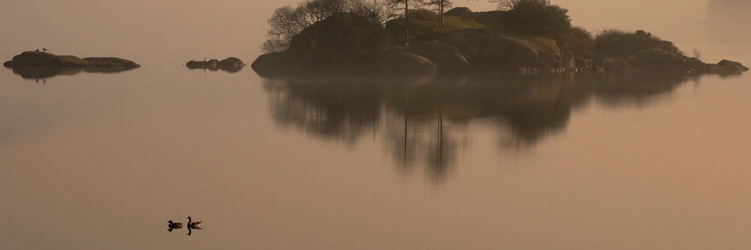 Nobody's banner